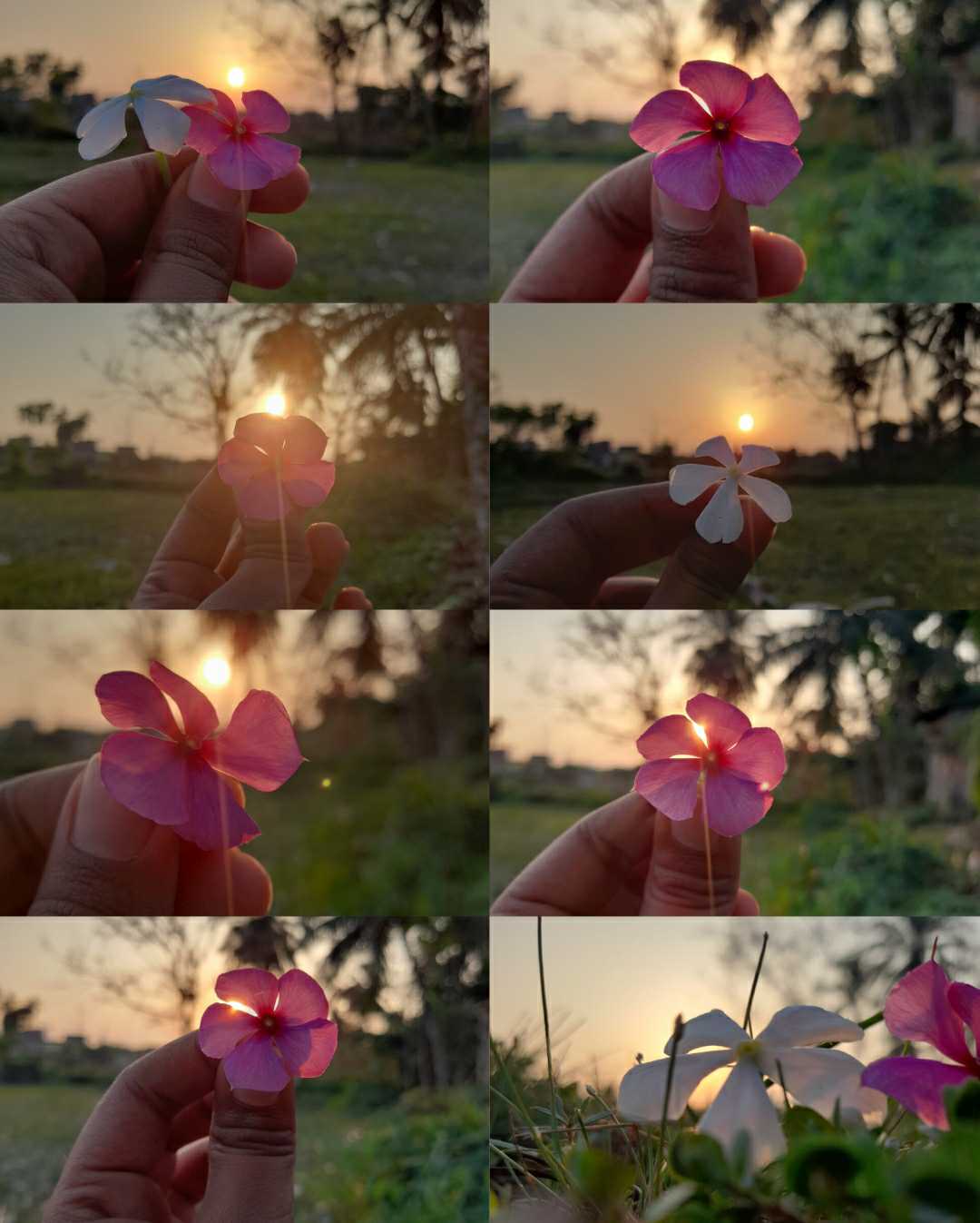 sunset 🌞