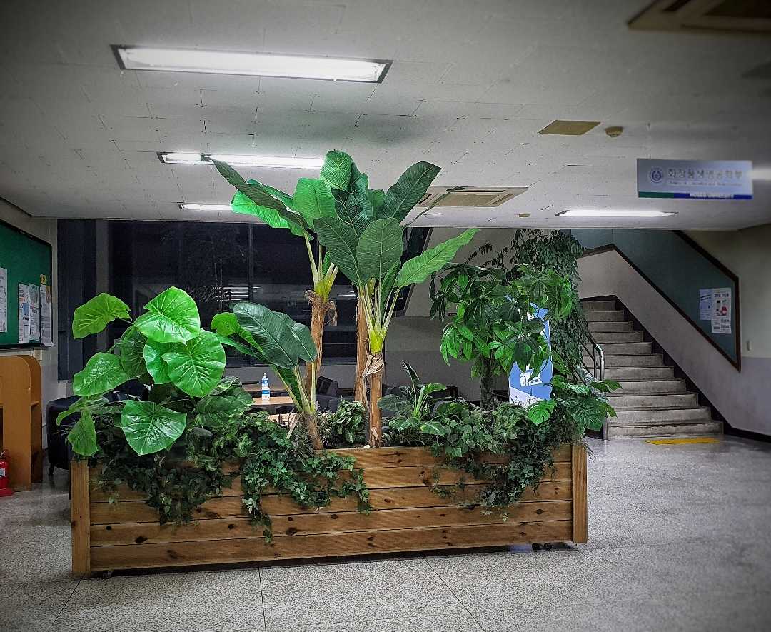 school of biological science, hoseo university 