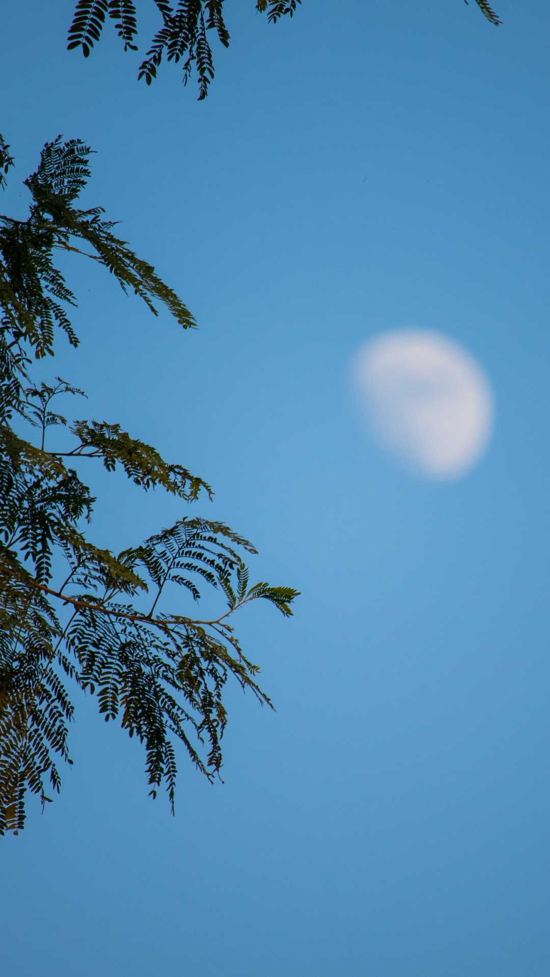 🌔