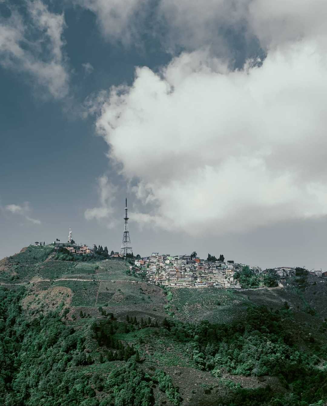 Kurseong, North Bengal❤️