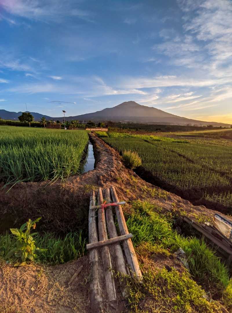 Gunung Arjuno