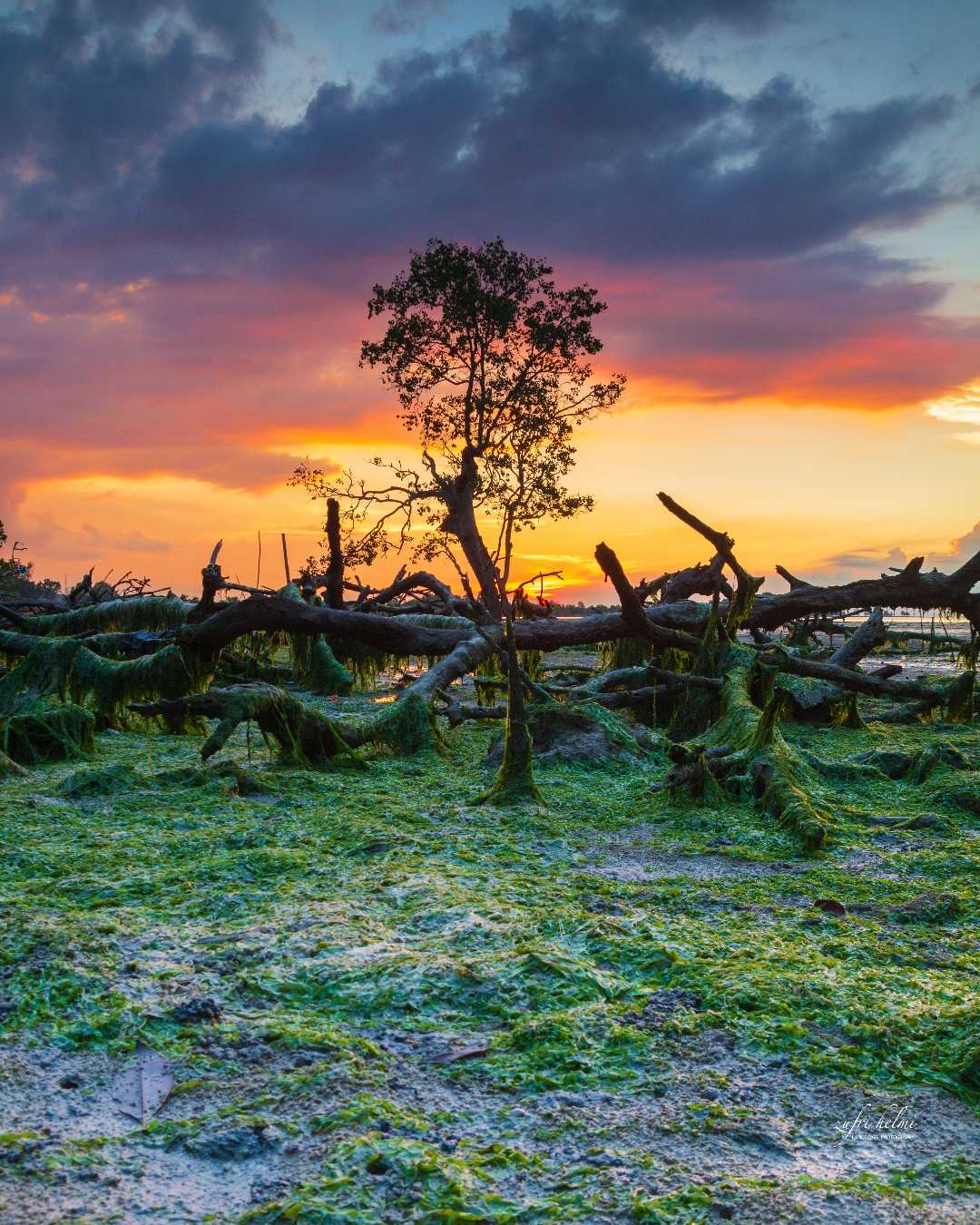 masih dengan sunset
