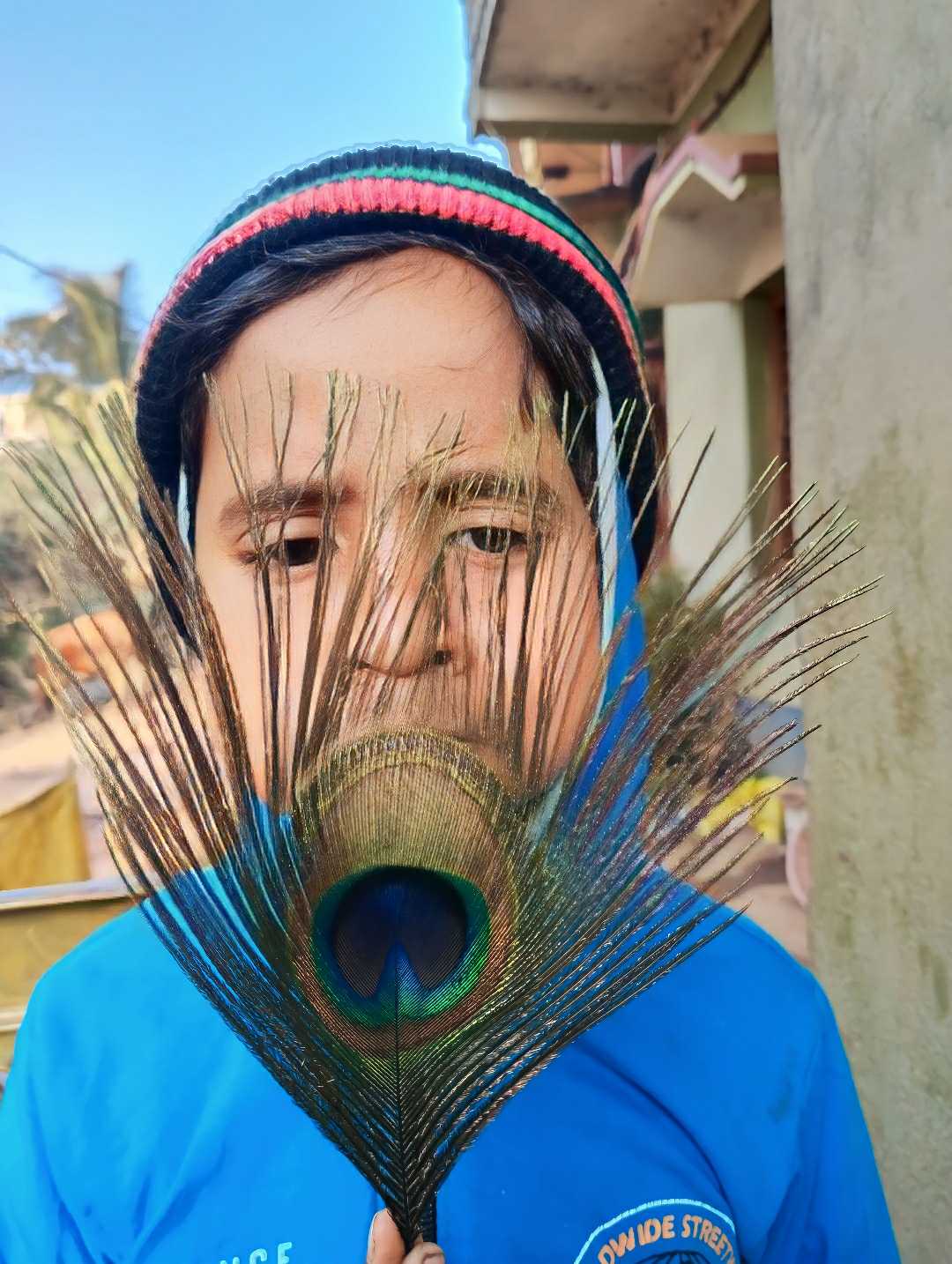 peacock Feathers