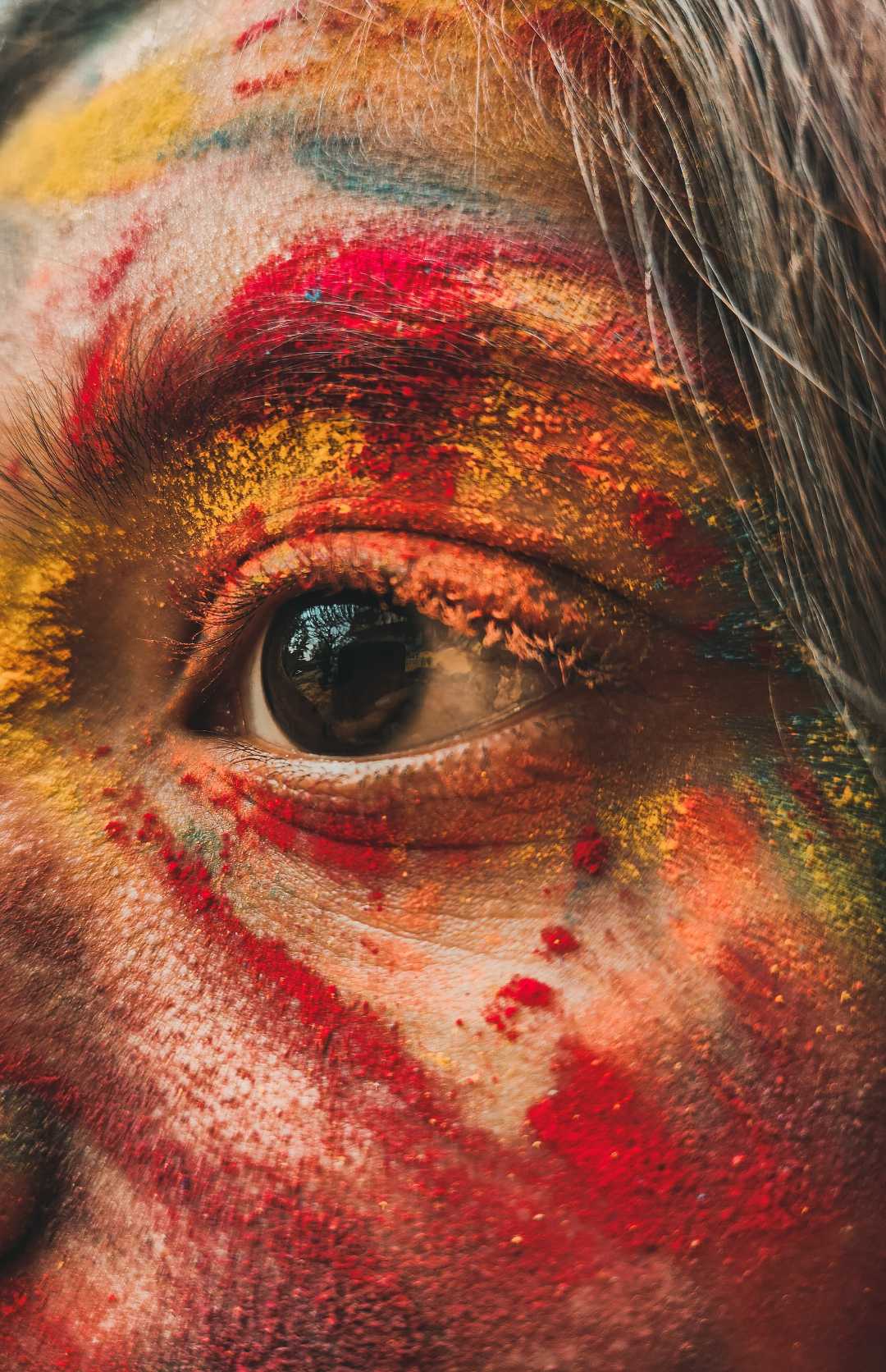 holi photography 
