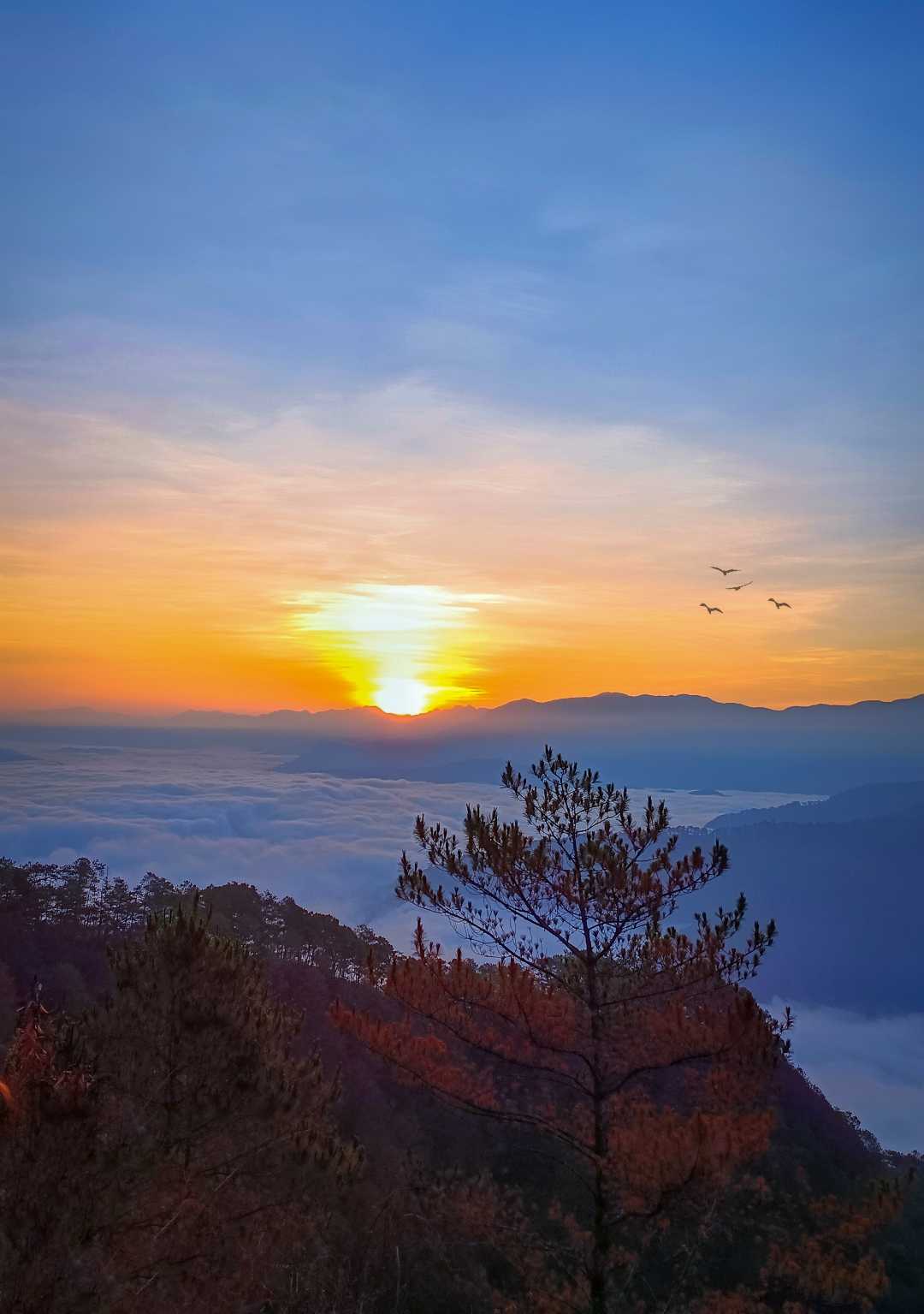 Beautiful Sagada ❤️