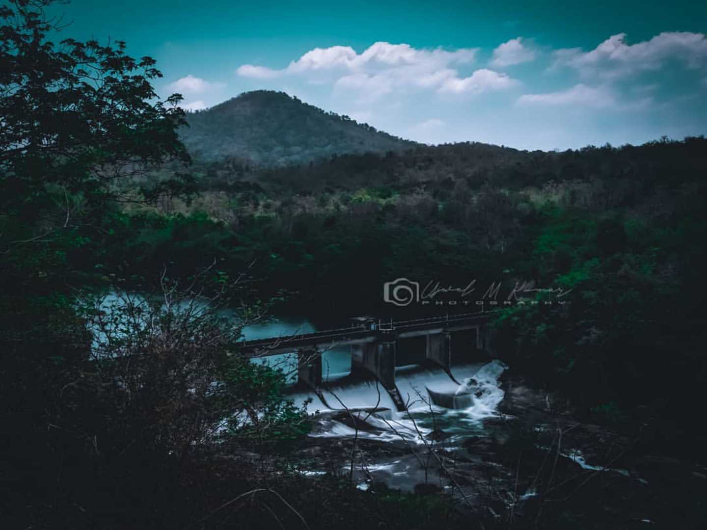 Nature Photography