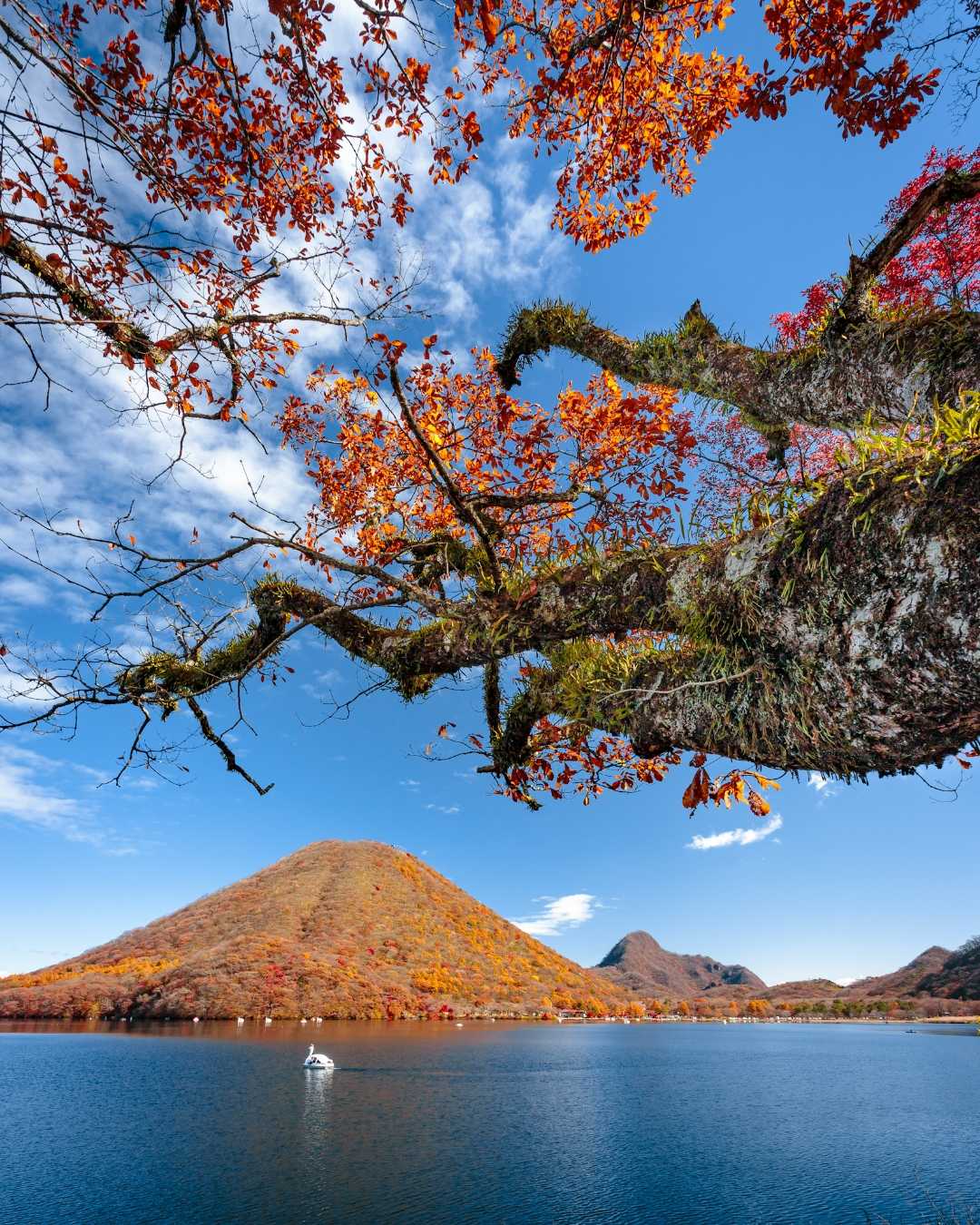 bingkai alam gunung haruna di musim gugur