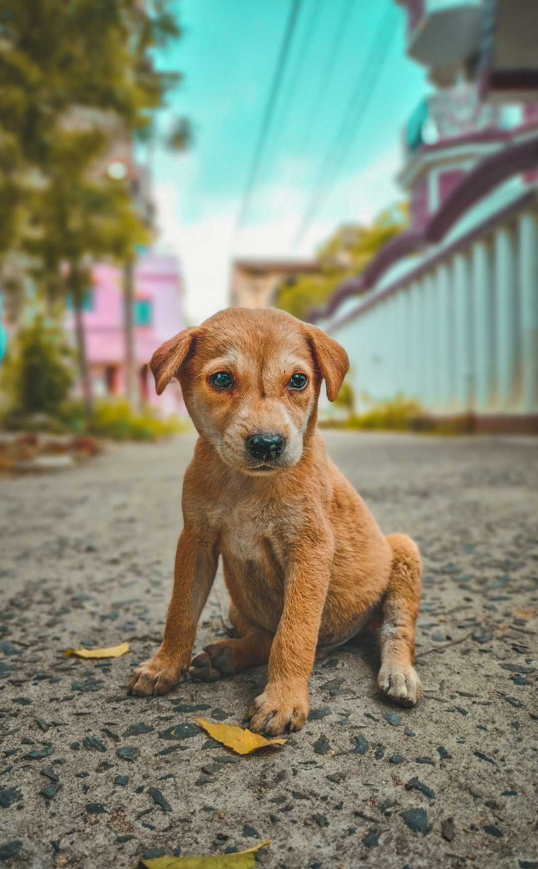 Adorable ❤️