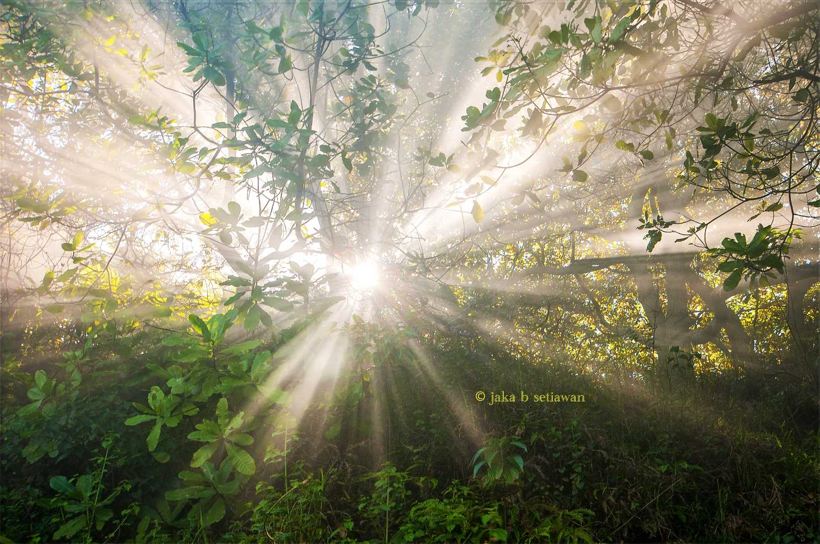 Tips Memotret RoL atau Rays of Light