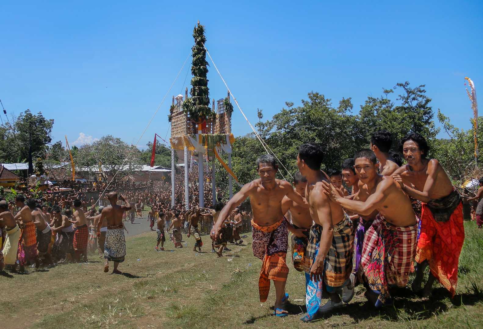 Budaya Kolosal Yang Langka 