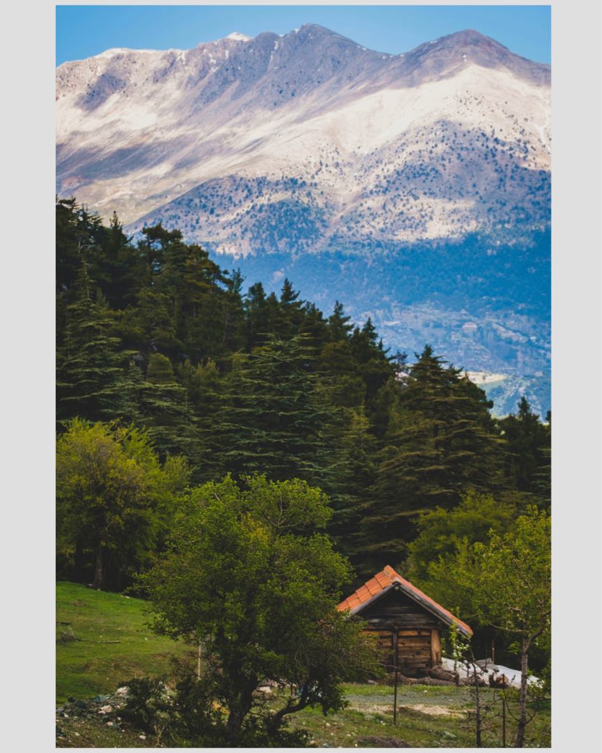 Away from the city🌲🪵⛰️