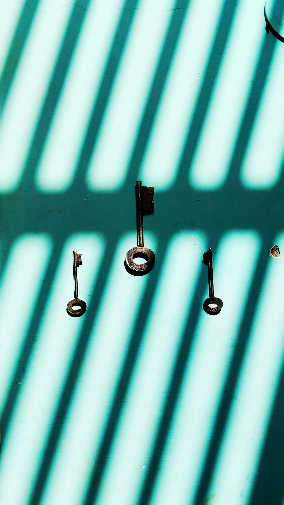 Game of lights and shadows ✌💓