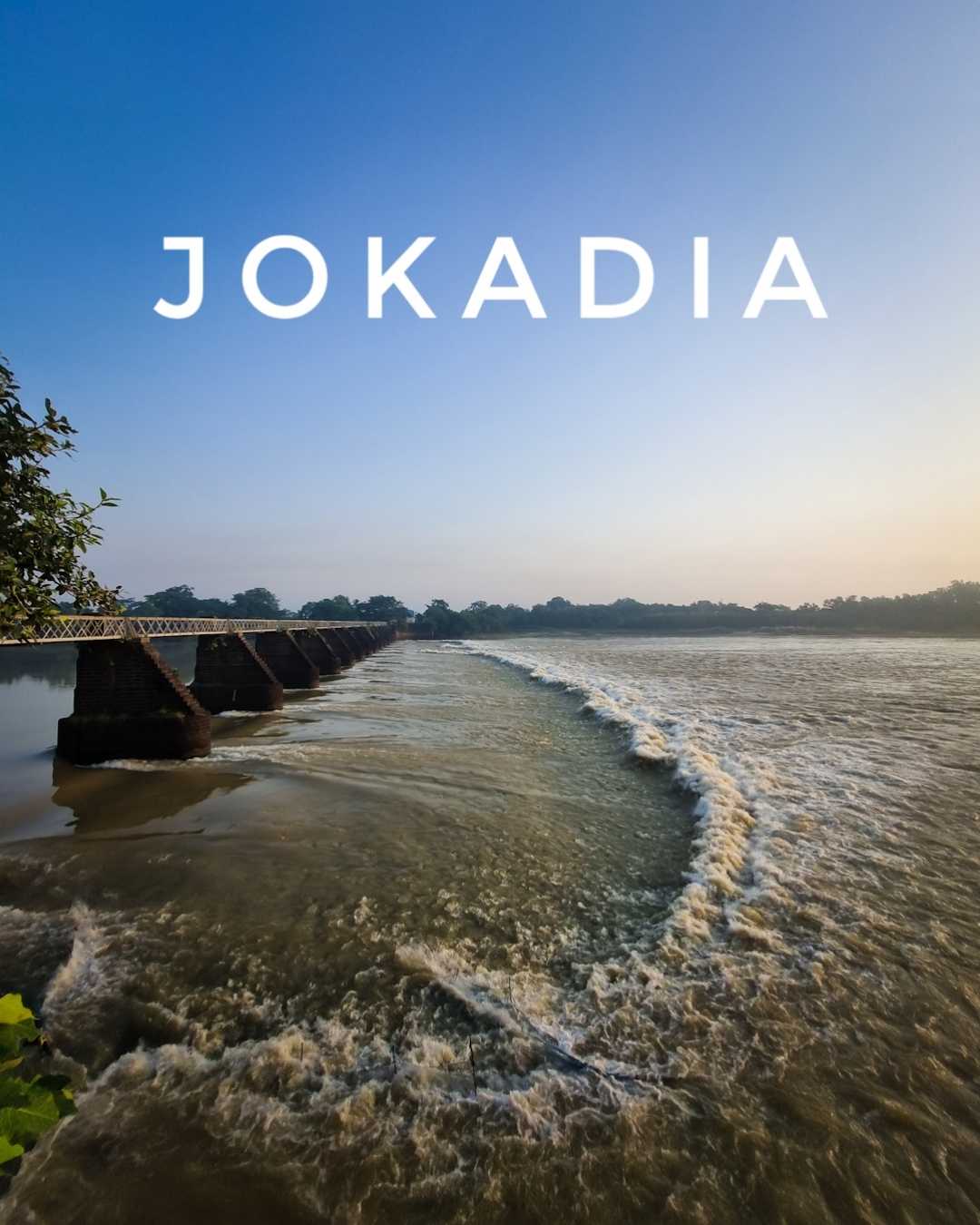Jokadia 