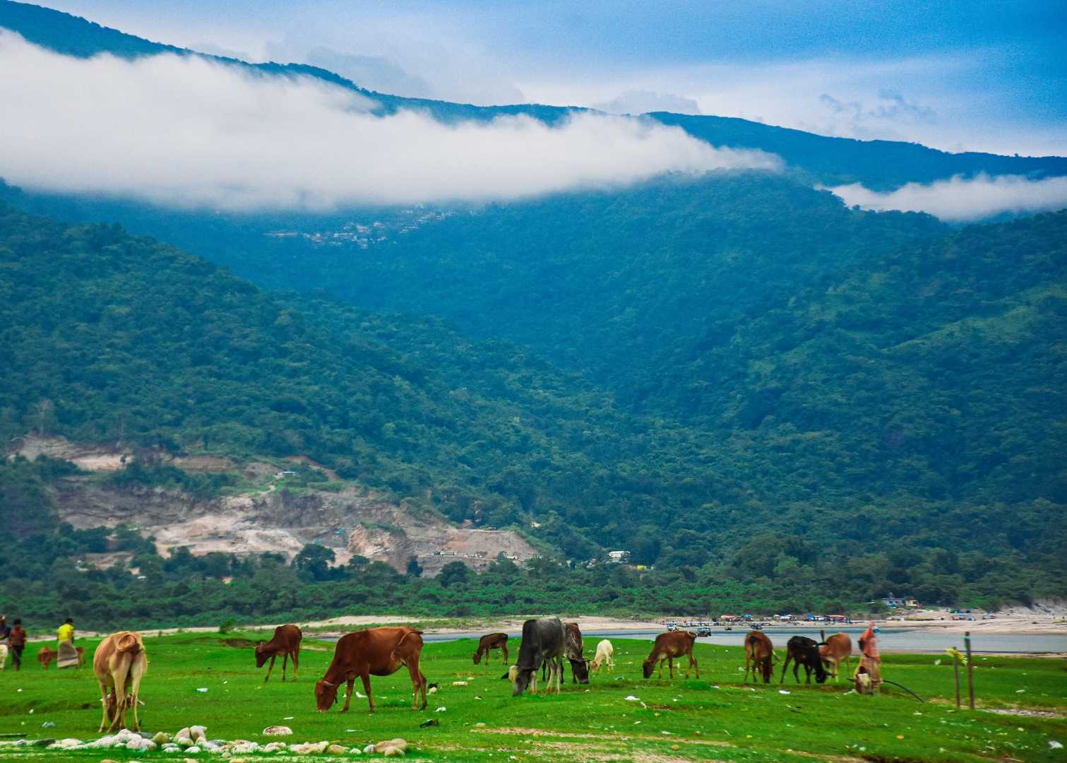 beauty of Bangladesh 