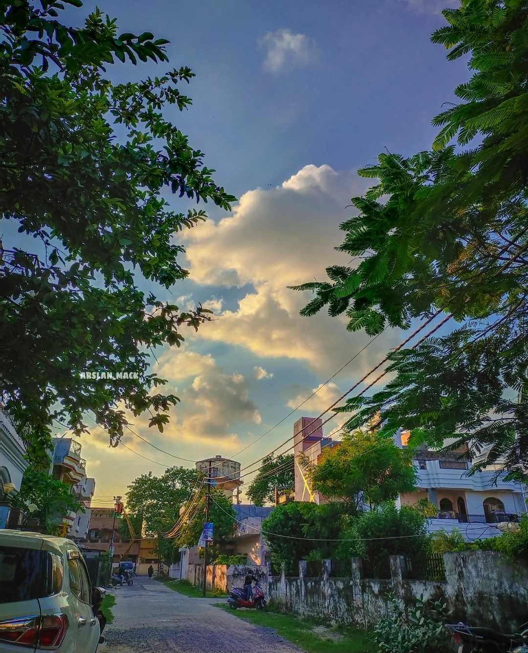 Nature vibes 