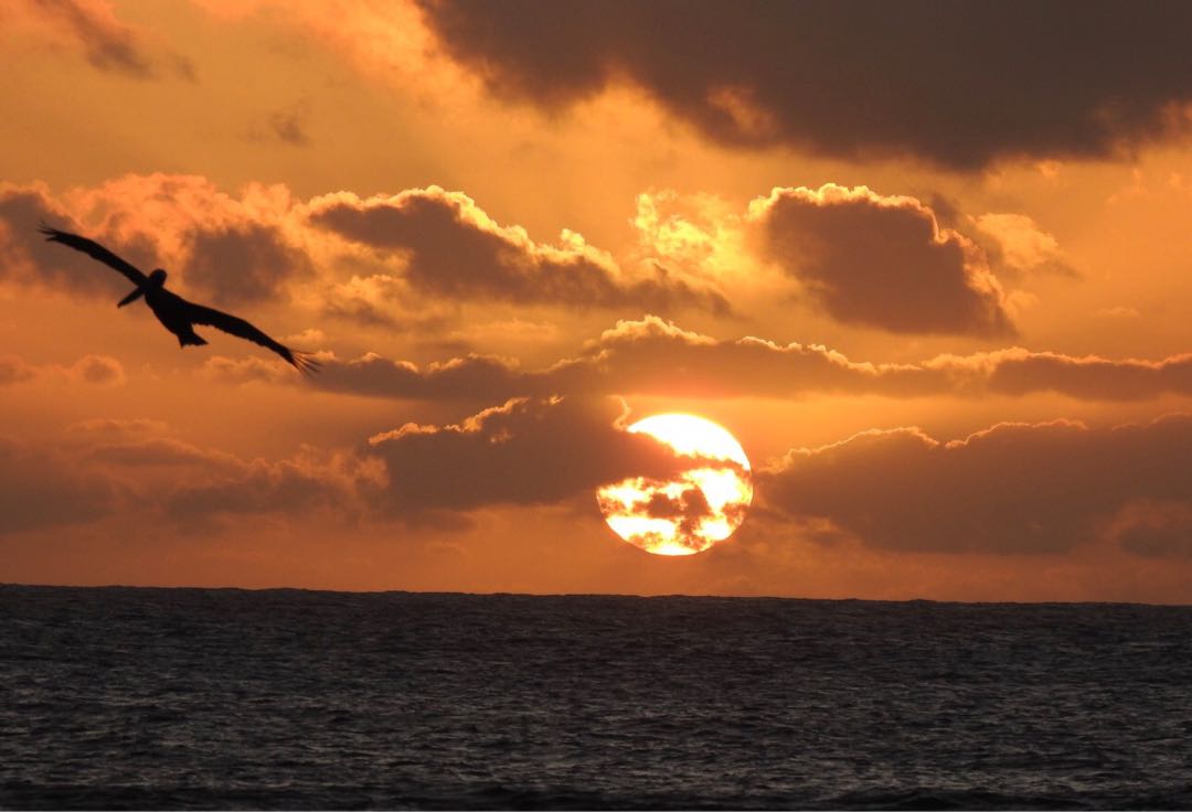 Puesta de sol en Aruba 