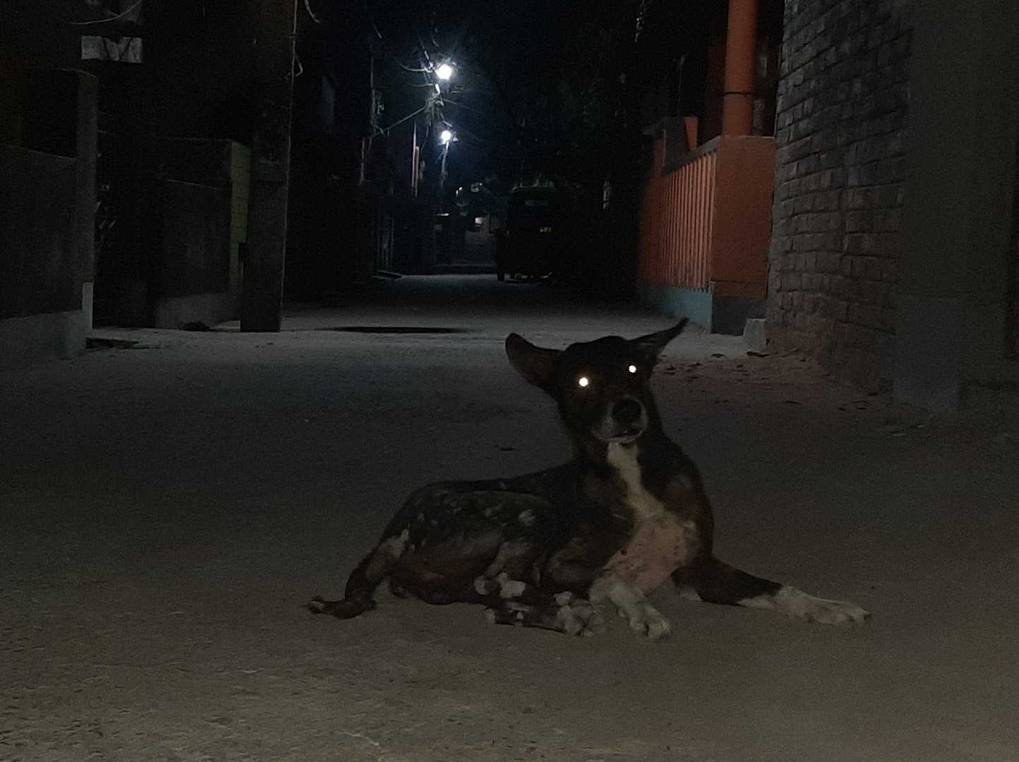 Rocky 