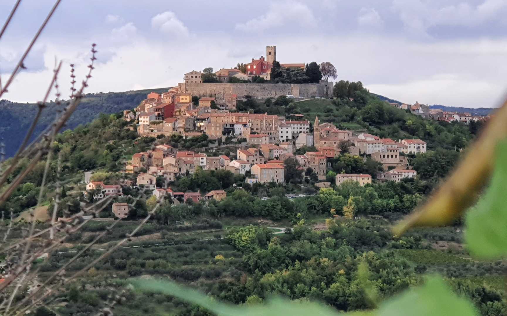 Croatia 🇭🇷  Motovun 