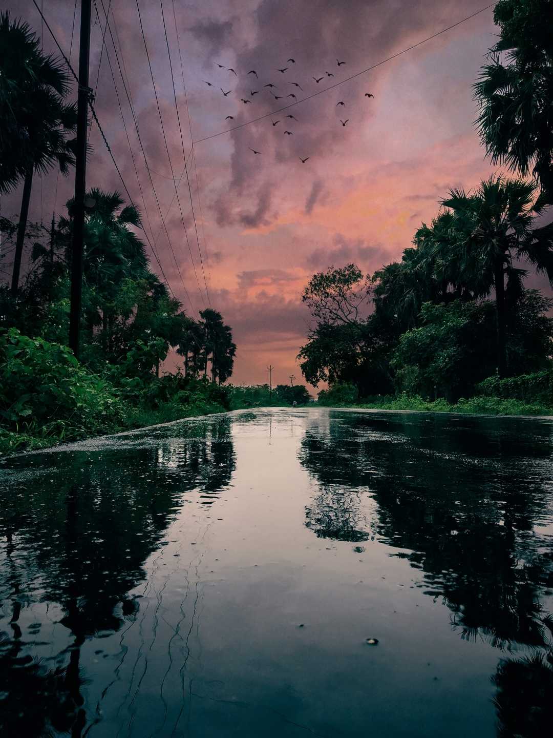 colors of nature
