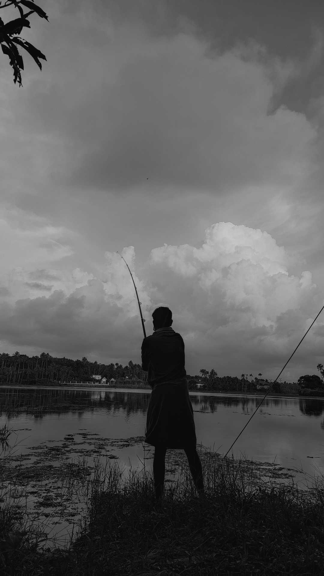 Fishing 🐬
