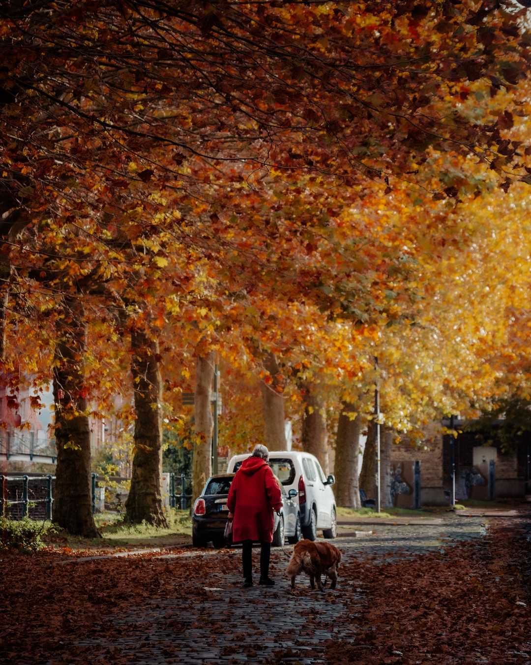 Ghent in Autumn ❤️