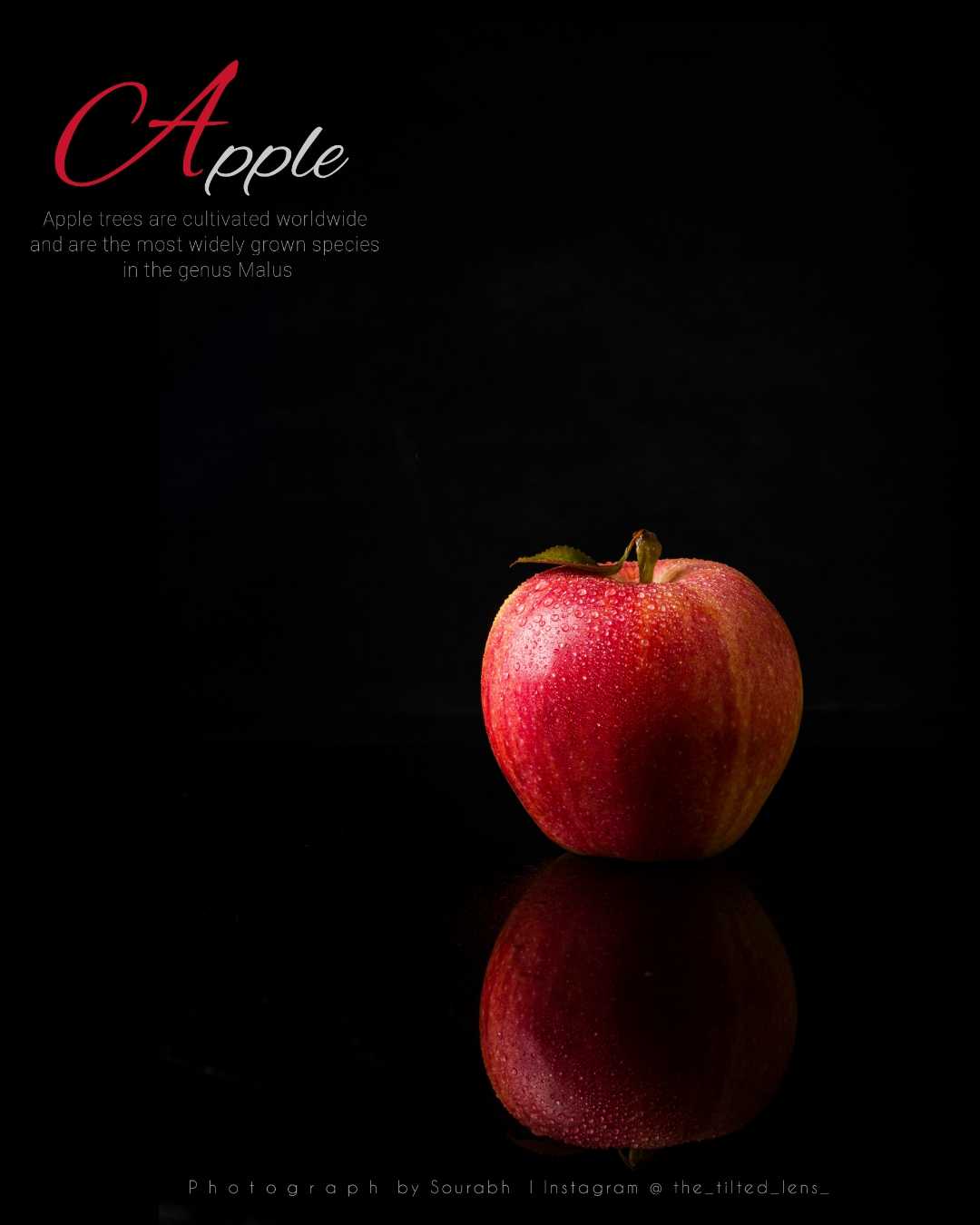 ✨ An apple a day keeps anyone away if you throw it hard enou