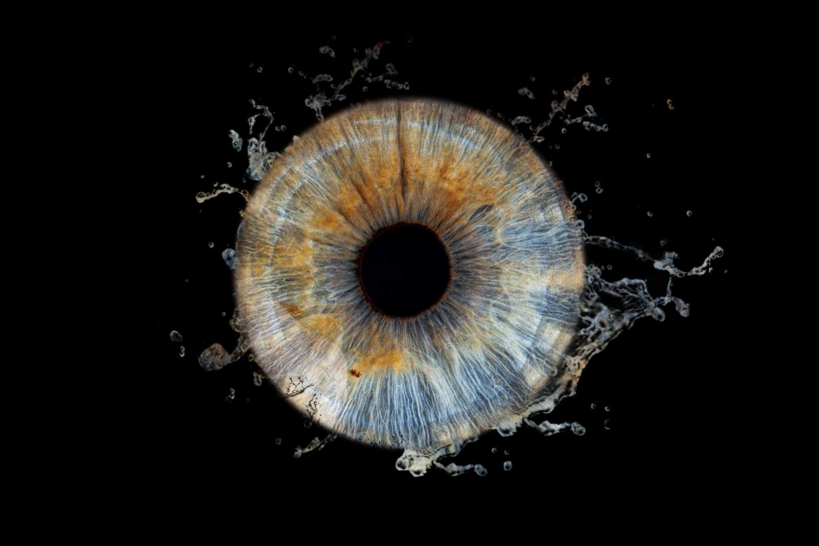 My eye! 