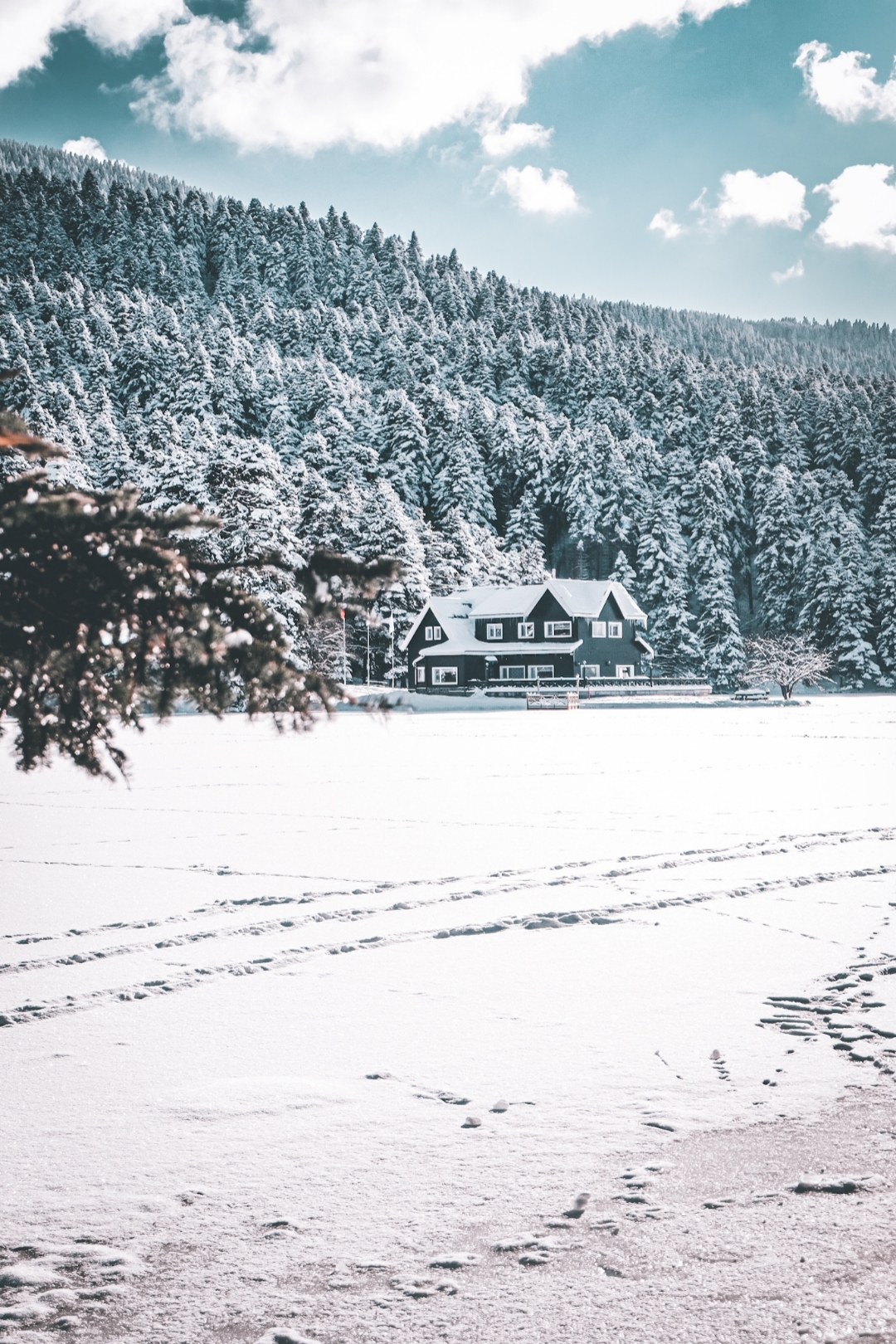 Bolu Gölcük Milli Parkı🏔️