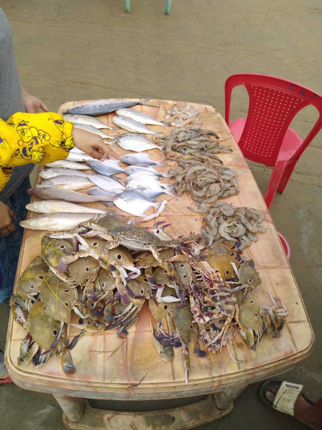 Any Sea Food Lover Here?