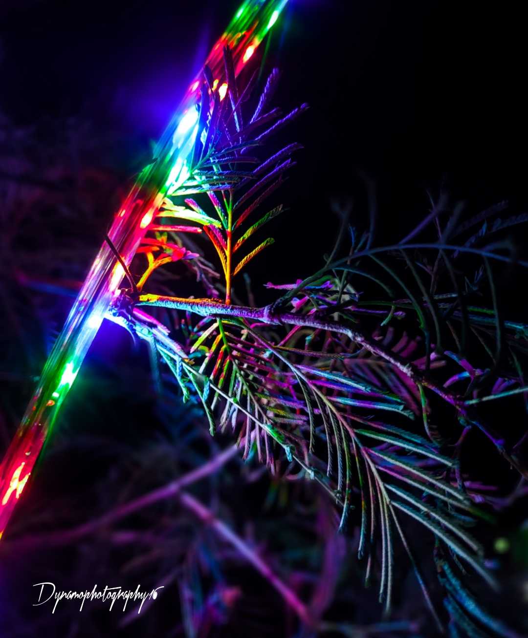 Night photography 💙❤️💚