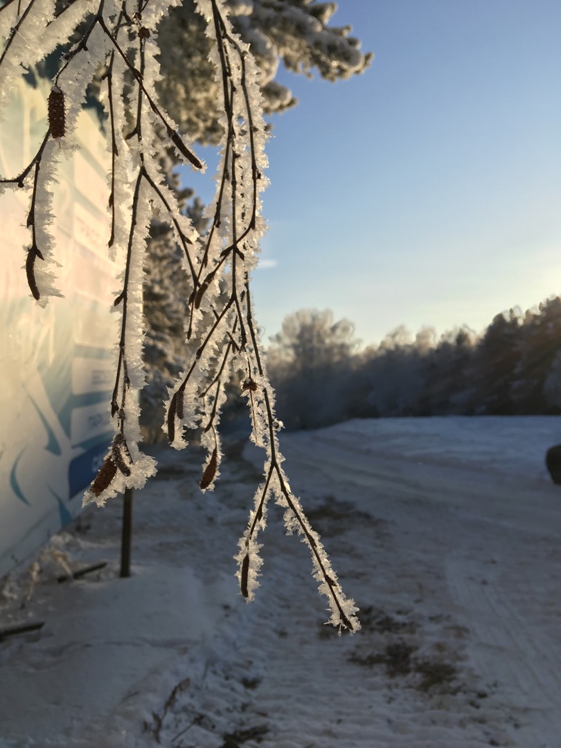 frost