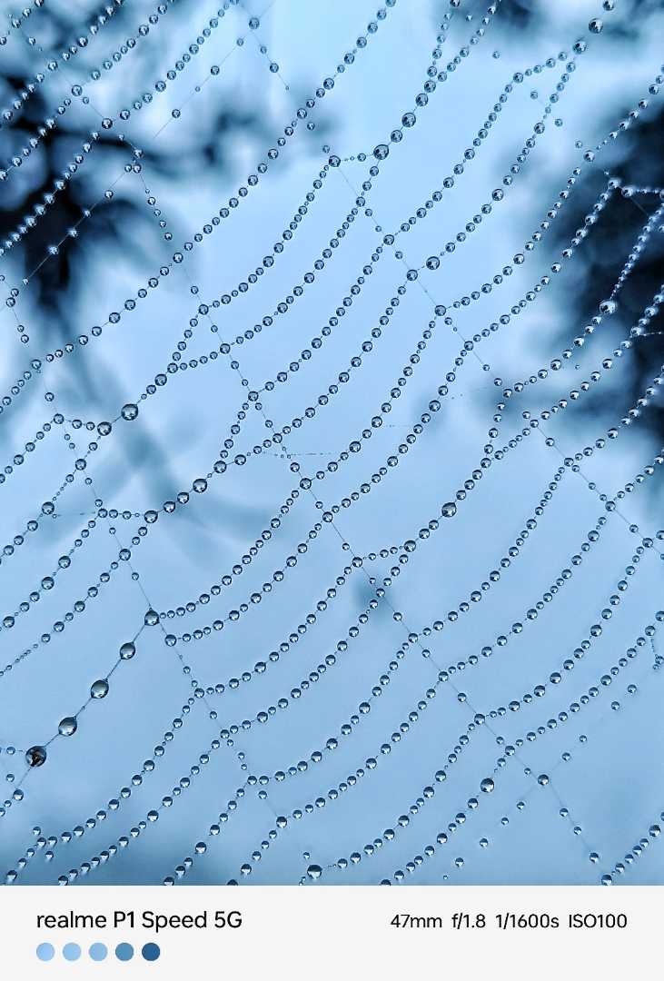 Morning pearls 🦪