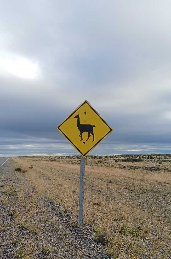 Ruta 40