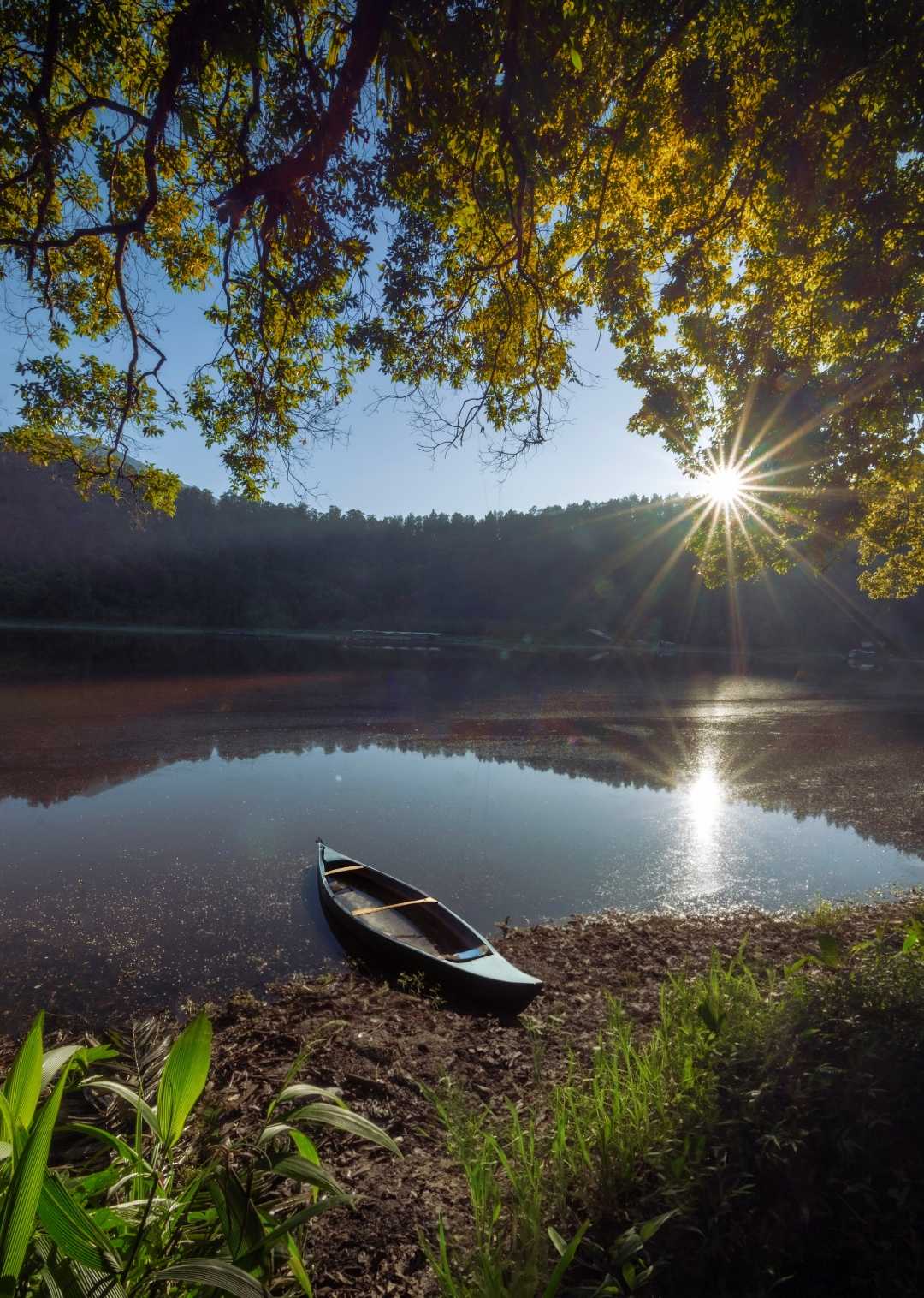 A Little Touch of Nature