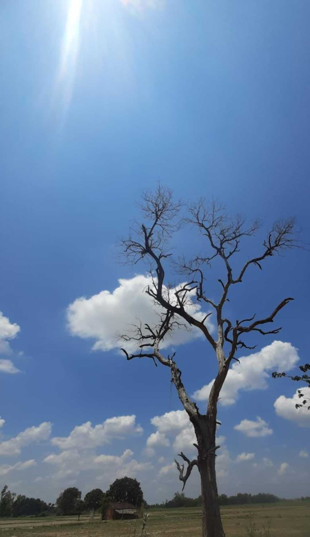 blue sky