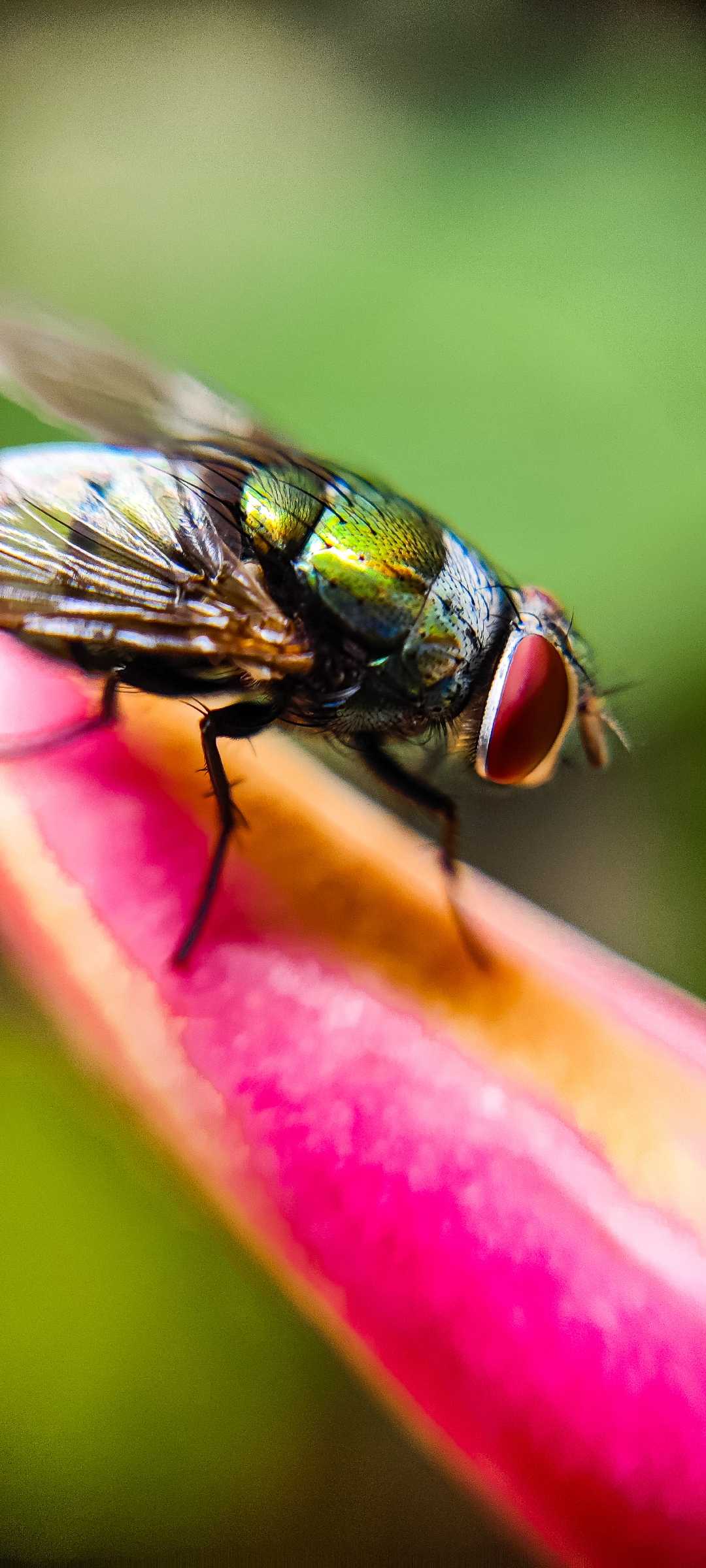 check out this new Macro post 
