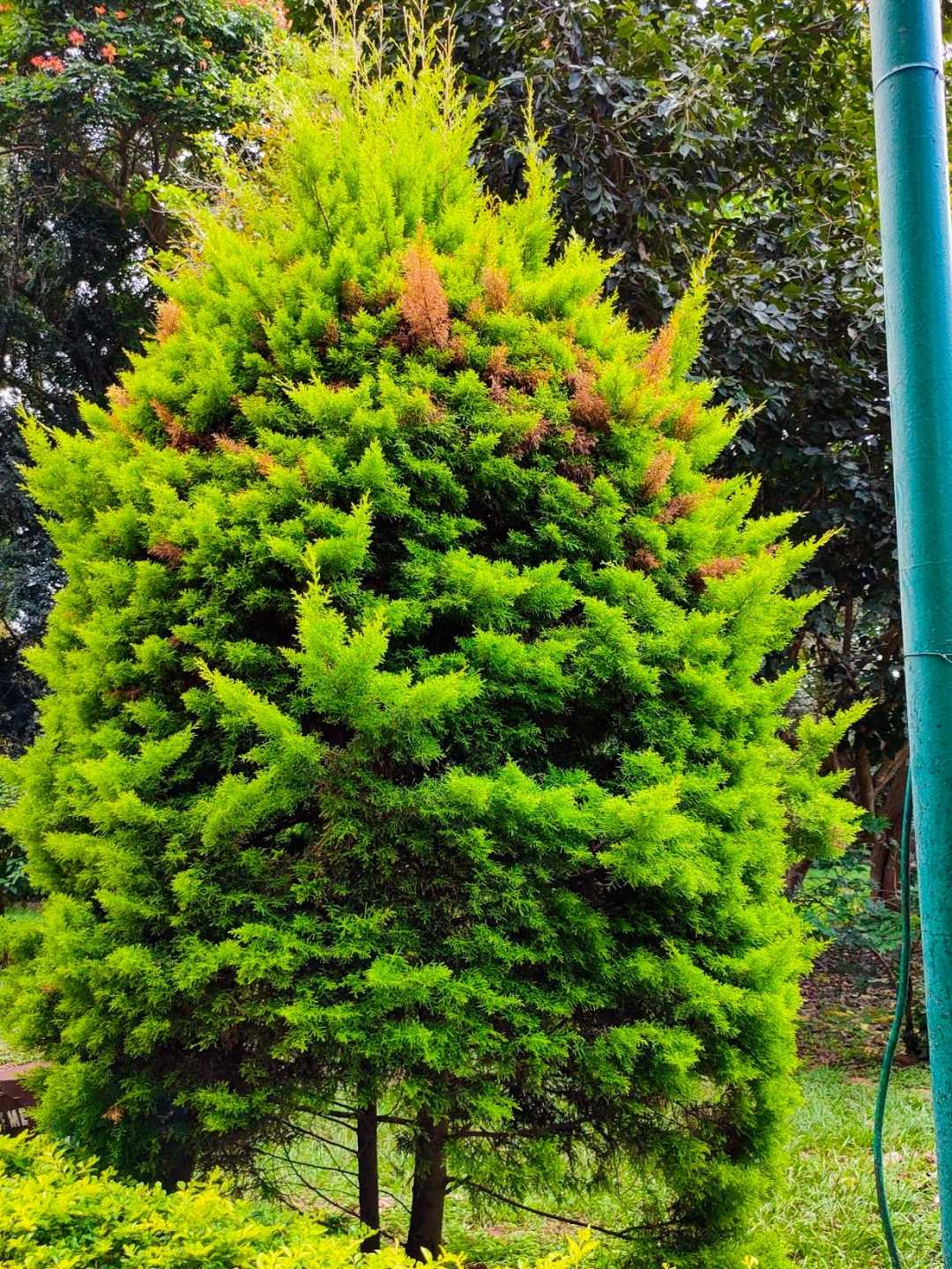 Nature 🌲🌲🌲