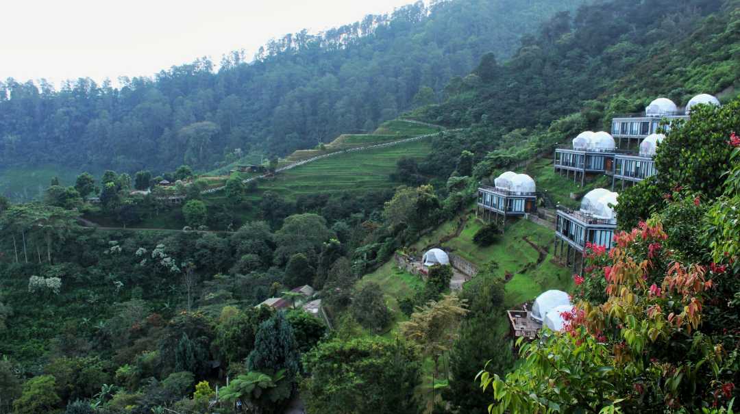 Damar Langit Resort