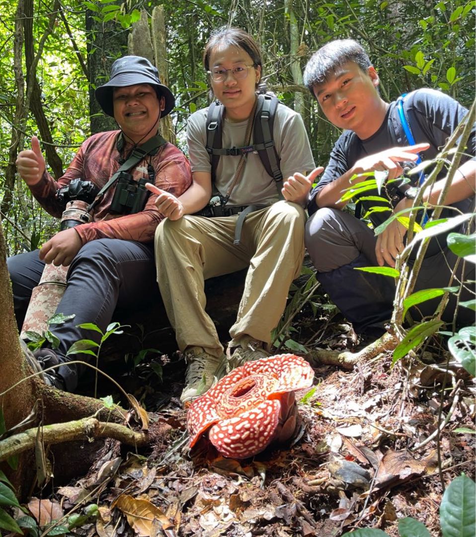 Tambunan, Sabah
