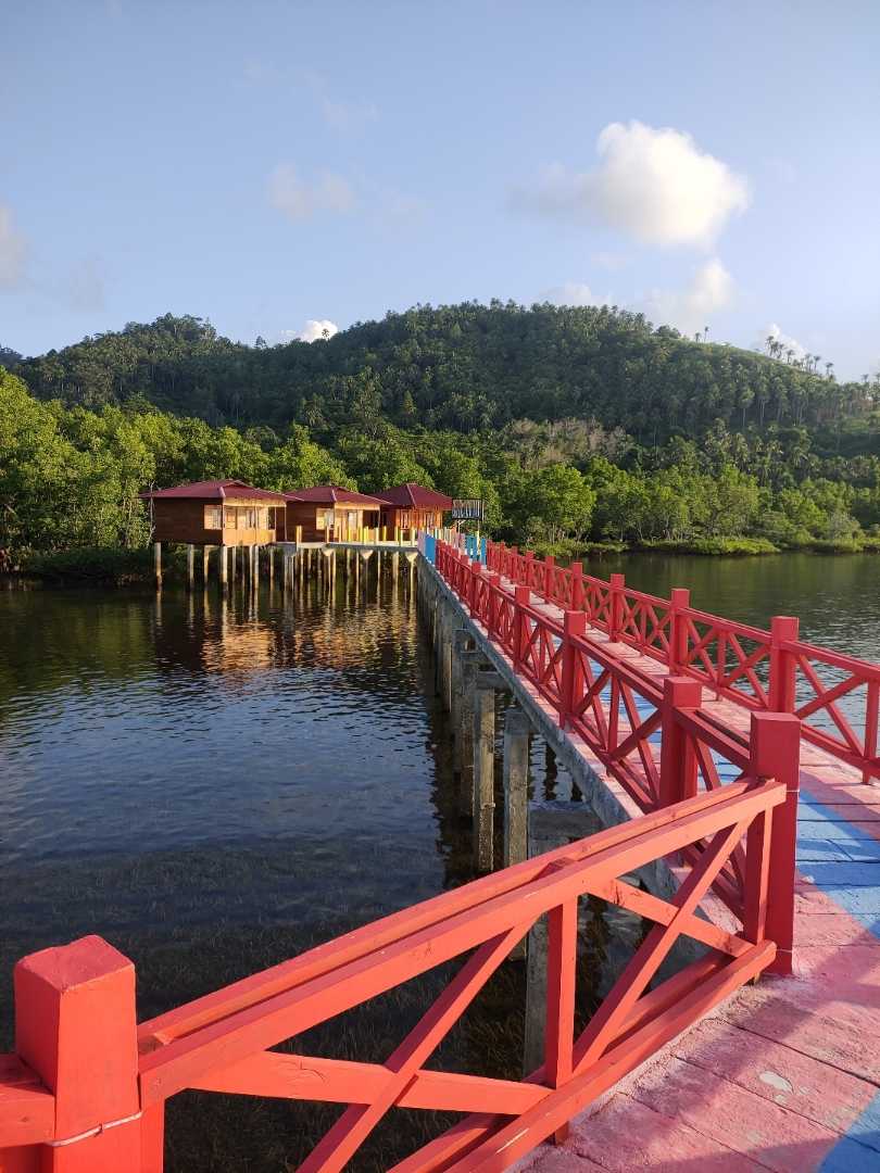 dermaga budo