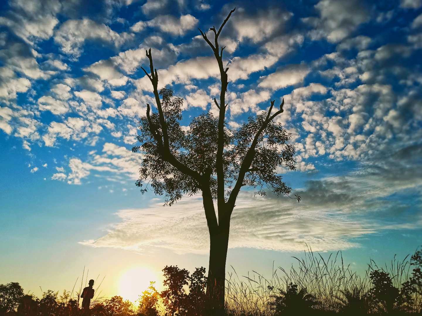 মেঘাচ্ছন্ন আকাশ...