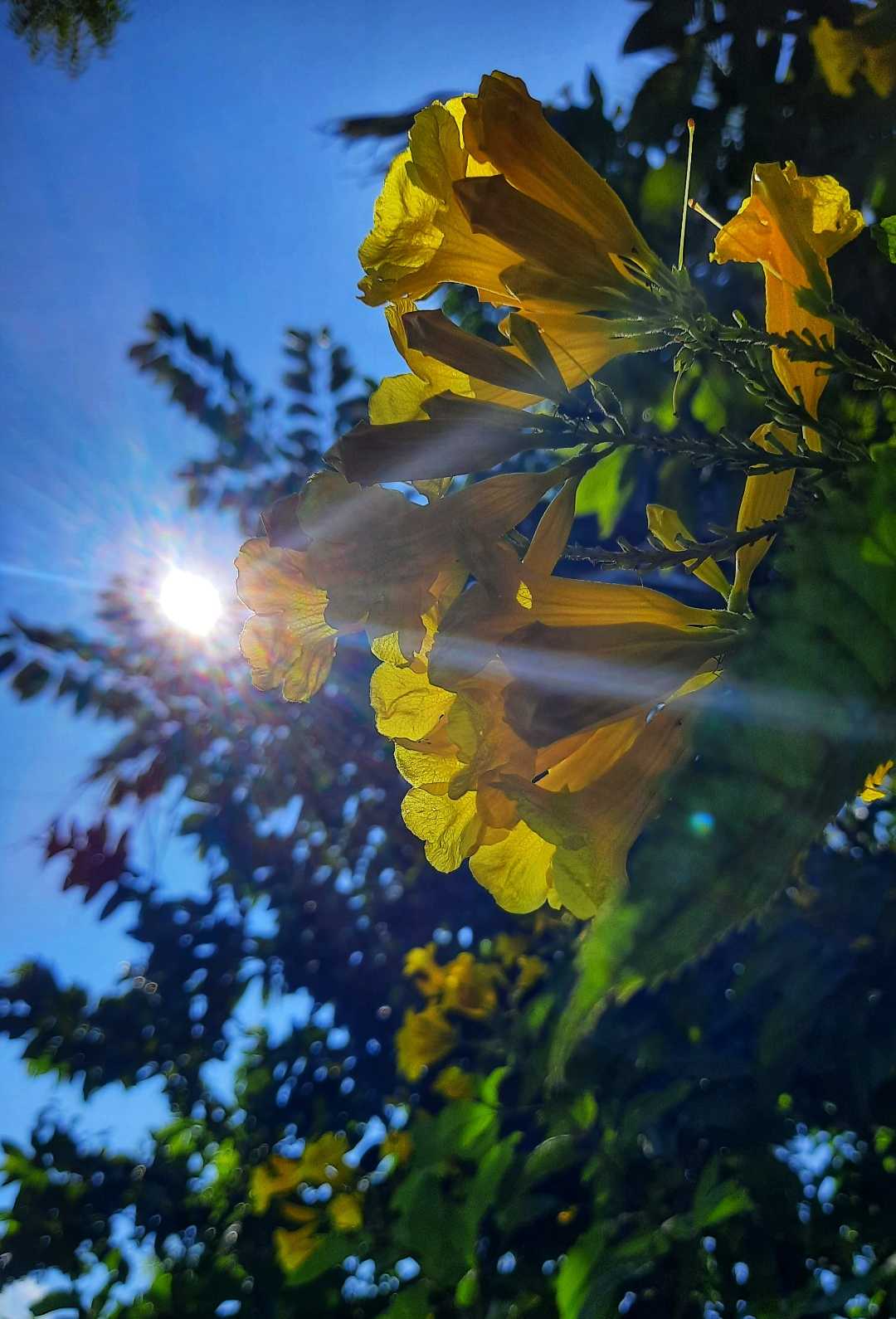 Natural photography 