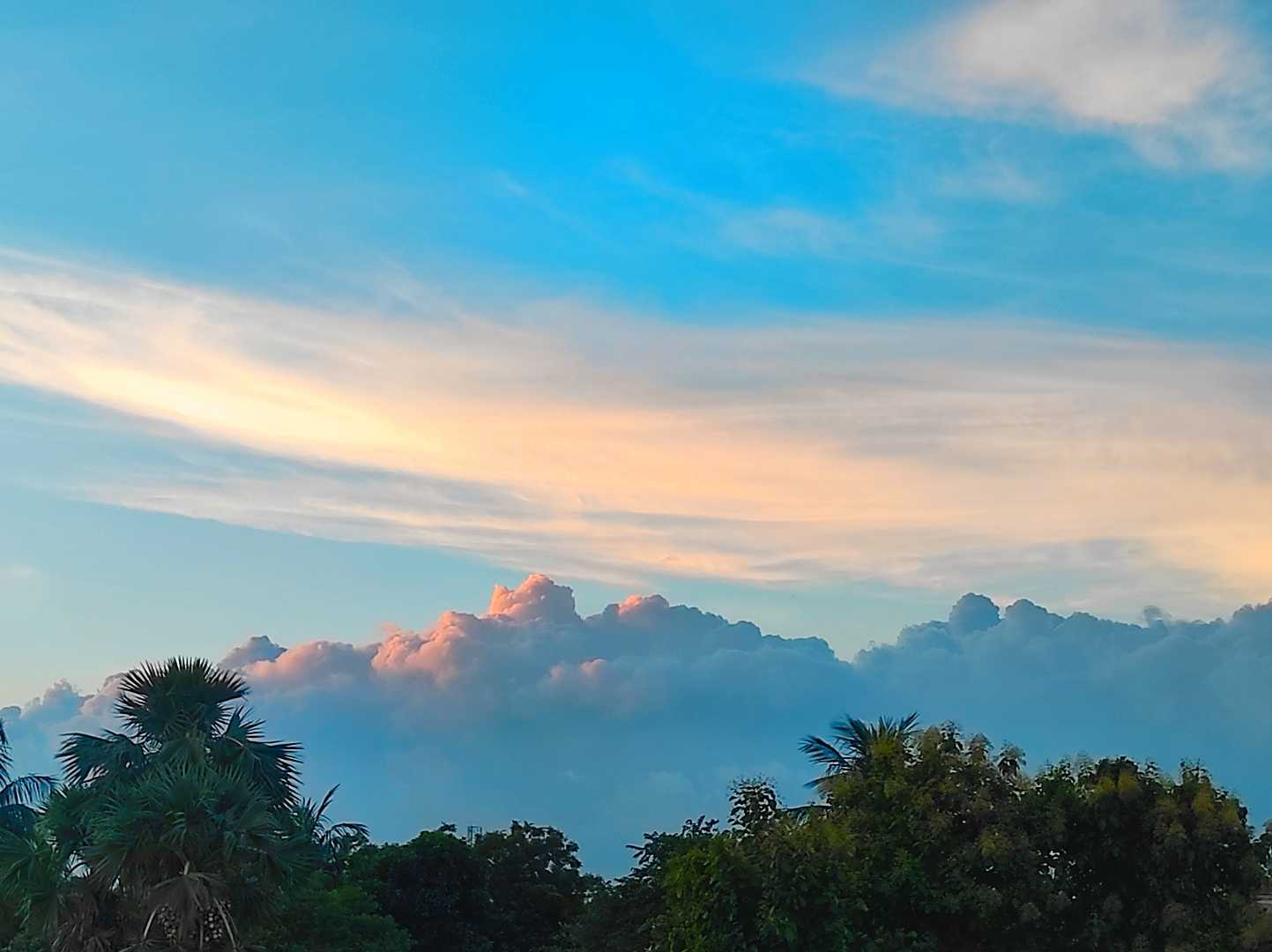 skyscape