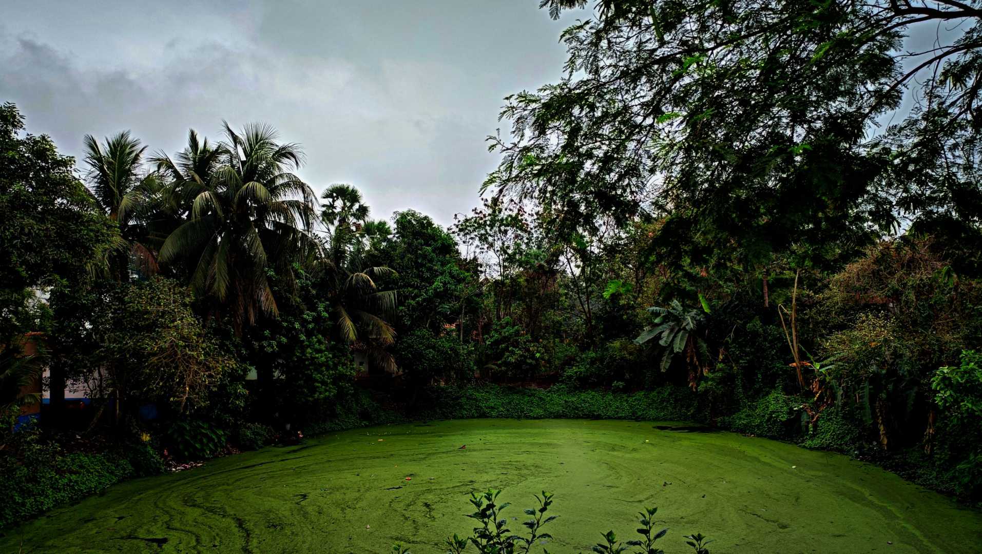 এই মেঘলা দিনে একলা ঘরে থাকেনা তো মন🌧️🌂
