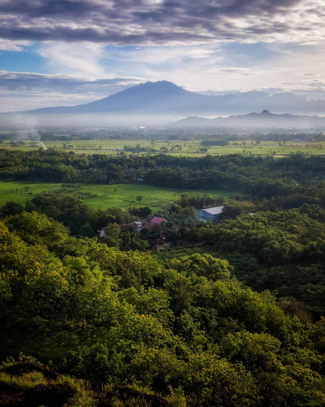 pagi yang cerah
