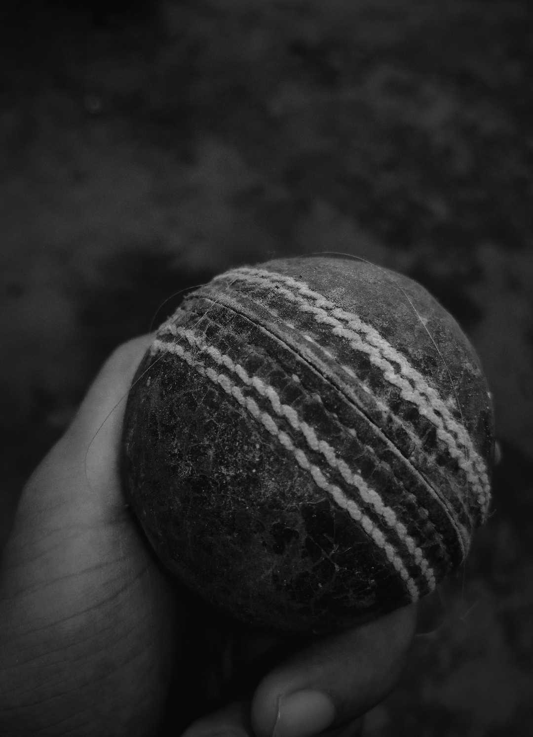 A Cricket Ball!