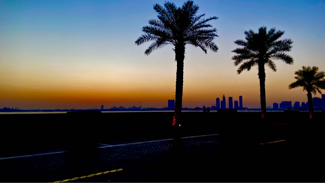 Dubai Skyline