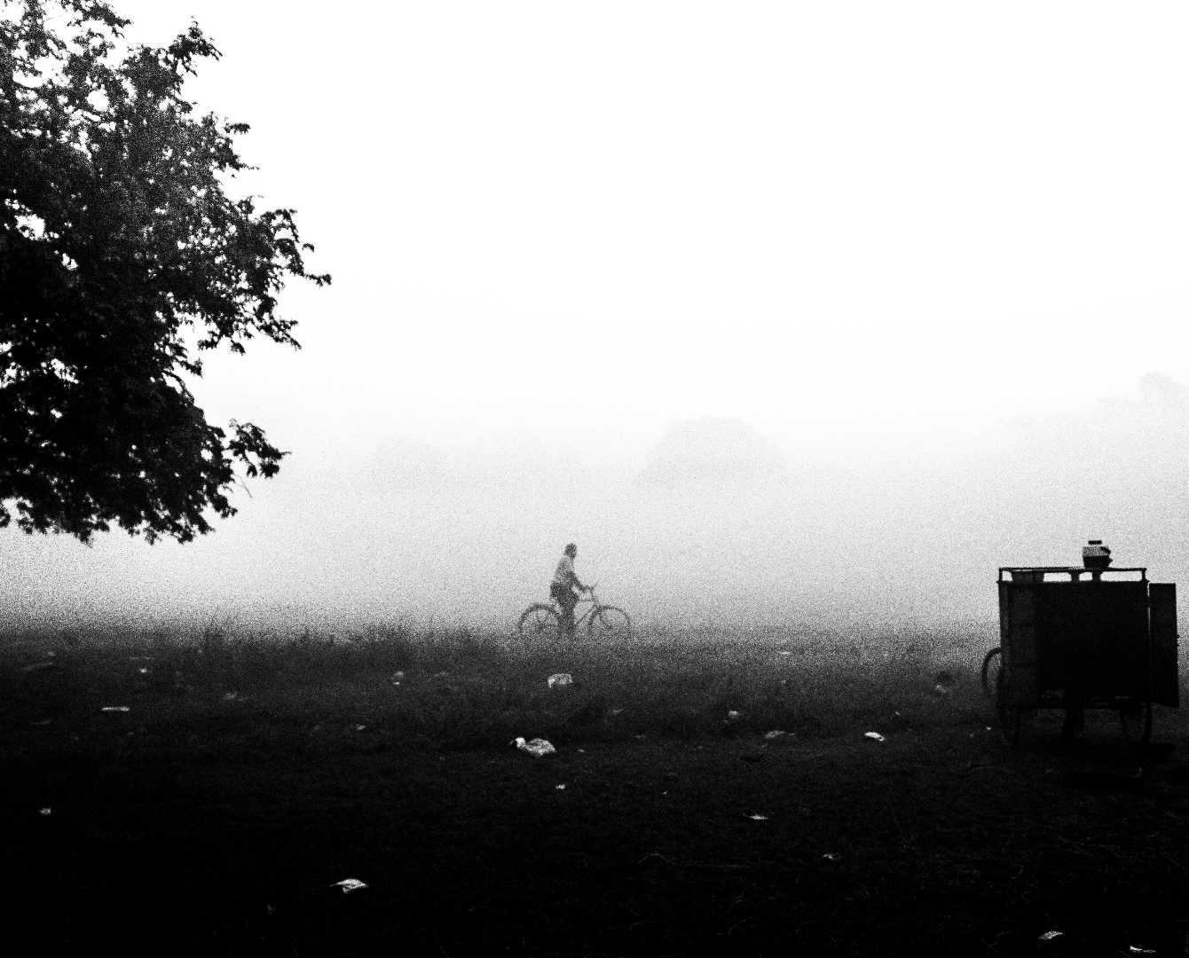 Misty Winter Morning