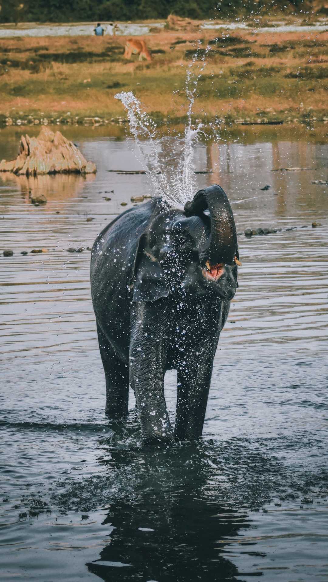It's shower time 