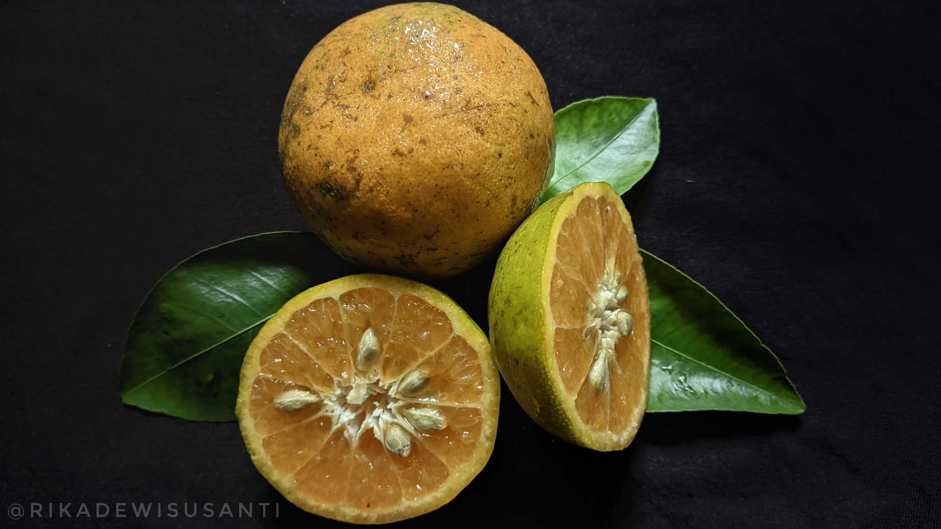 jeruk manis